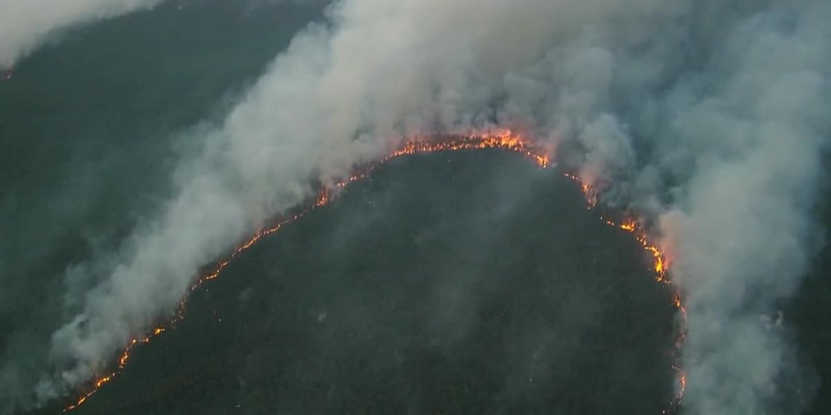 Authorities "July 4 Fireworks Spark NJ Forest Fire" Bgrnd Search