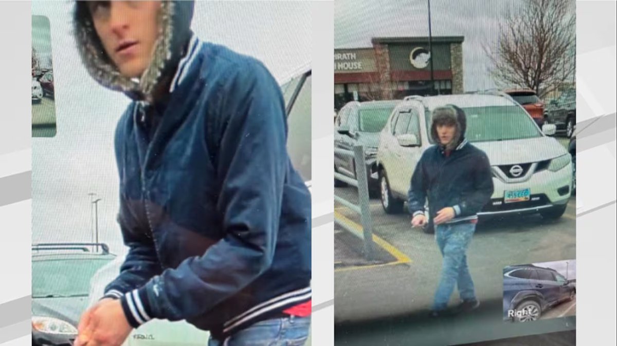 25-Year-Old Charged with Vandalizing Tesla in 'Takedown Day'!