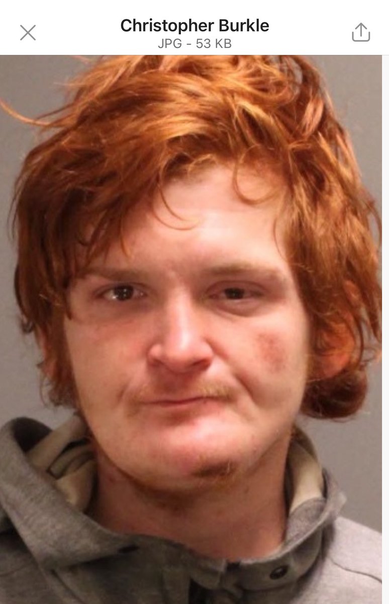 28-Year-Old Christopher Burkle's DUI Box Truck Rampage Shocks Philly!