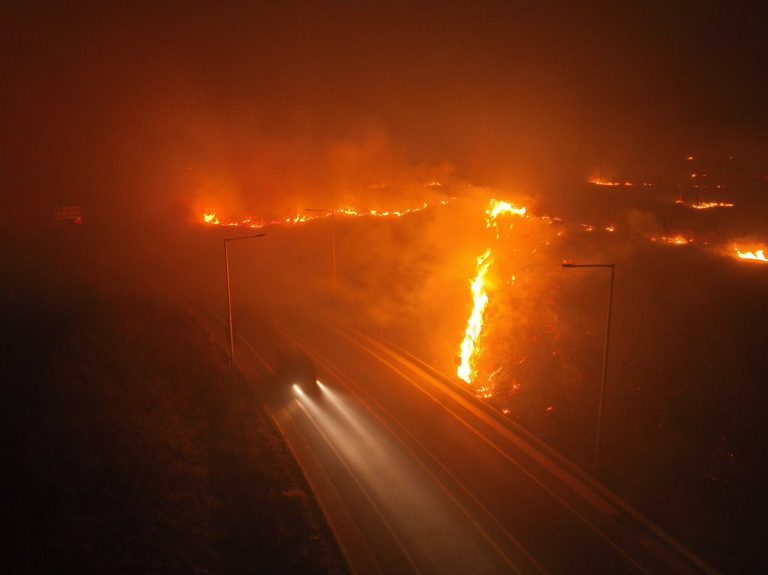 BREAKING: South Korea Wildfires Kill 12, Are Climate Policies to Blame?