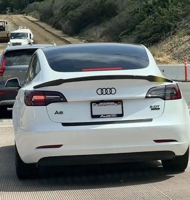 BREAKING: Tesla Owners Rebrand to Escape Vandalism - Outrage Grows!