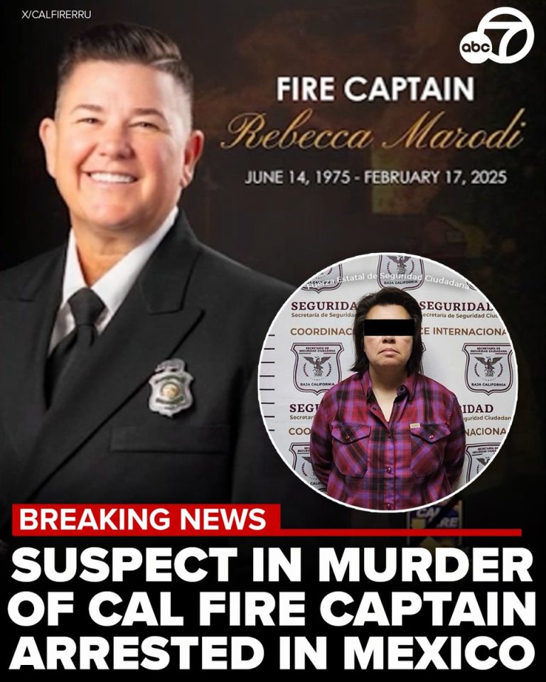 Cal Fire Captain Stabbed: Suspect Arrested in Mexico!