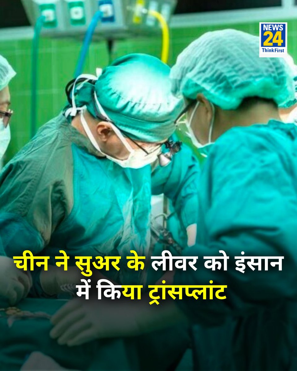 China Shocks World: Pig Liver Successfully Transplanted in Human!