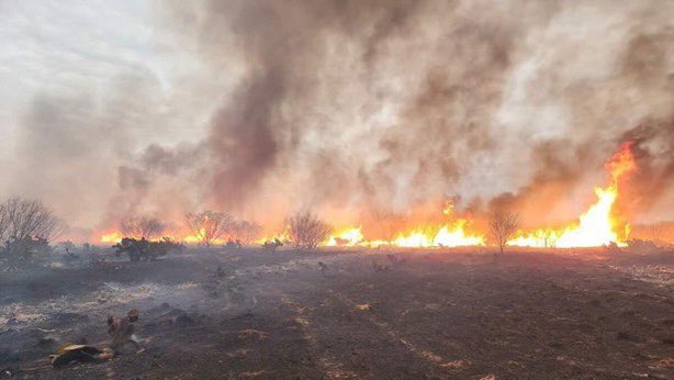 Florida's 22,000-Acre Fire Erupts: Is Climate Change to Blame?