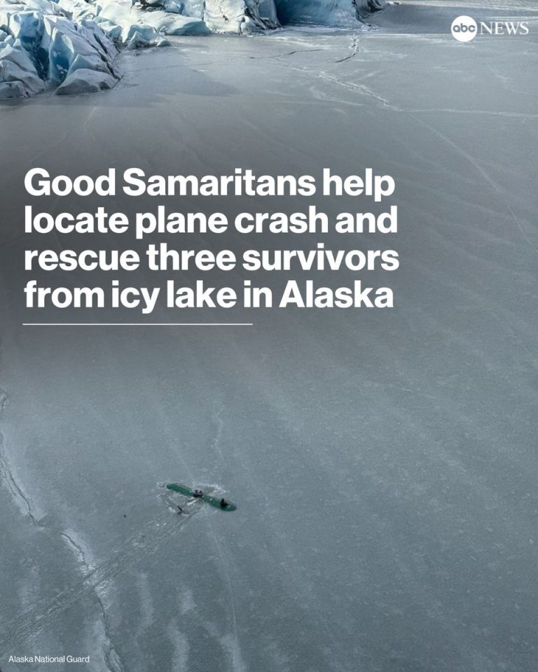 Good Samaritans or Reckless Heroes? Plane Crash Rescue Sparks Debate
