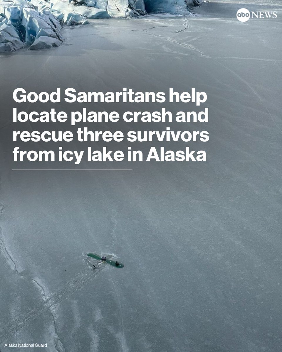 Good Samaritans or Reckless Heroes? Plane Crash Rescue Sparks Debate