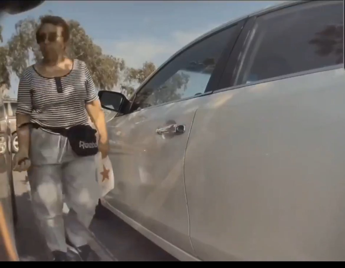 Grandma's Shocking Crime: Caught on Camera, Jail Time Ahead!