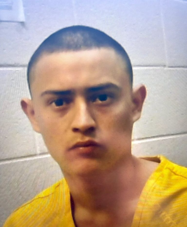 Honduran Immigrant Confesses to Georgia Mother's Shocking Murder