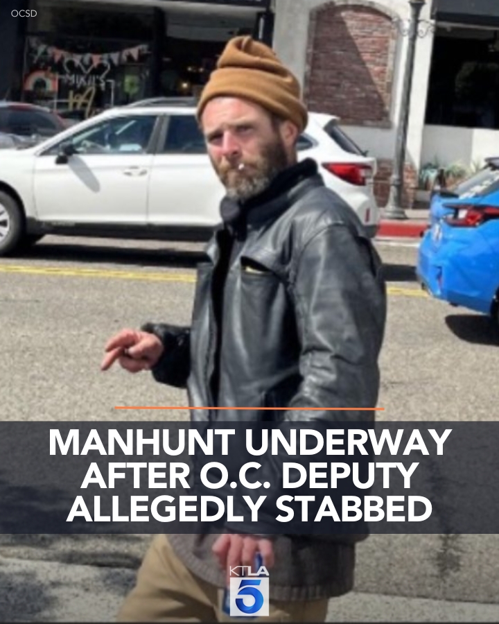 Manhunt for Suspect: Female Deputy Stabbed, Schools on Lockdown