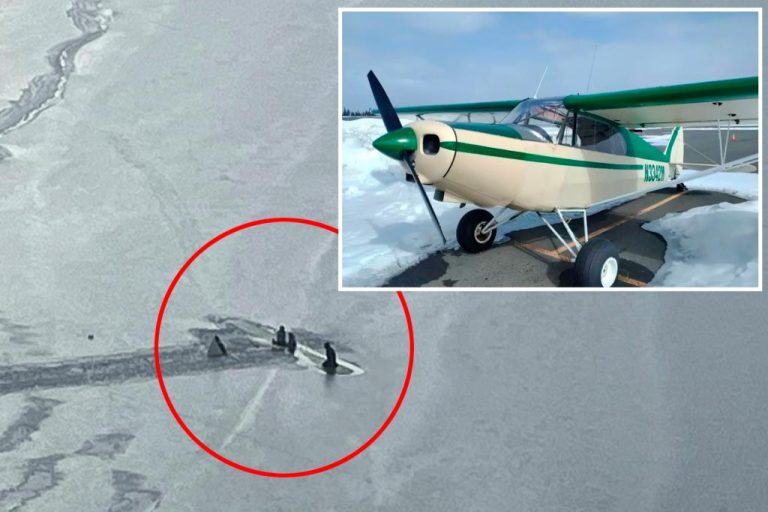 Miracle in Alaska: Pilot and Girls Defy Death After Plane Crash!