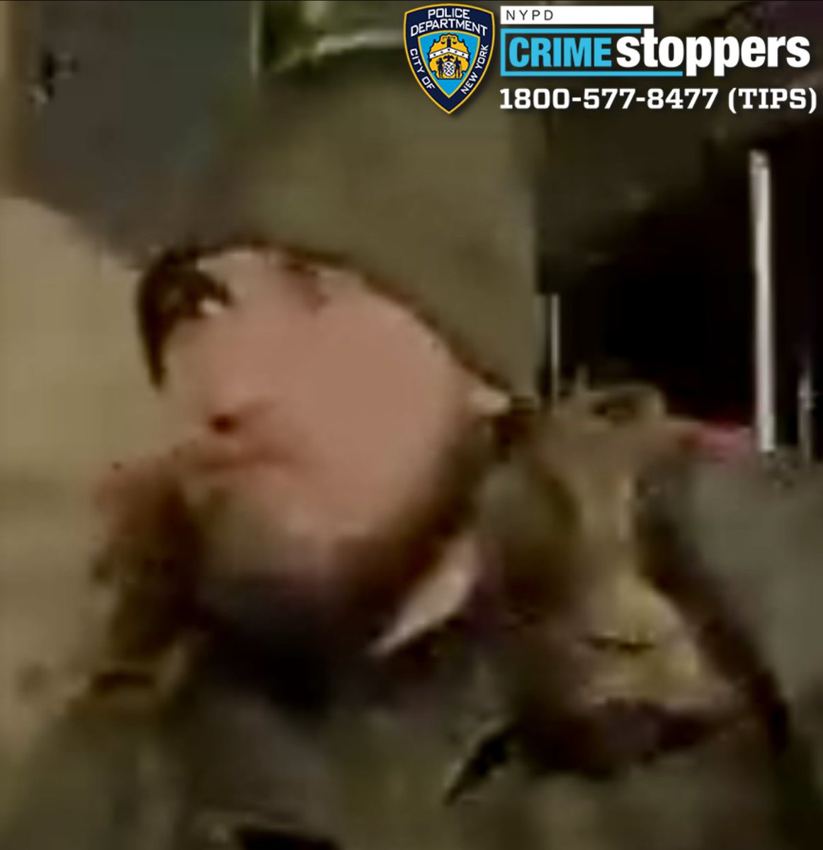 NYPD Hunts Suspects Who Carved "Nazis" and Swastika on Tesla!