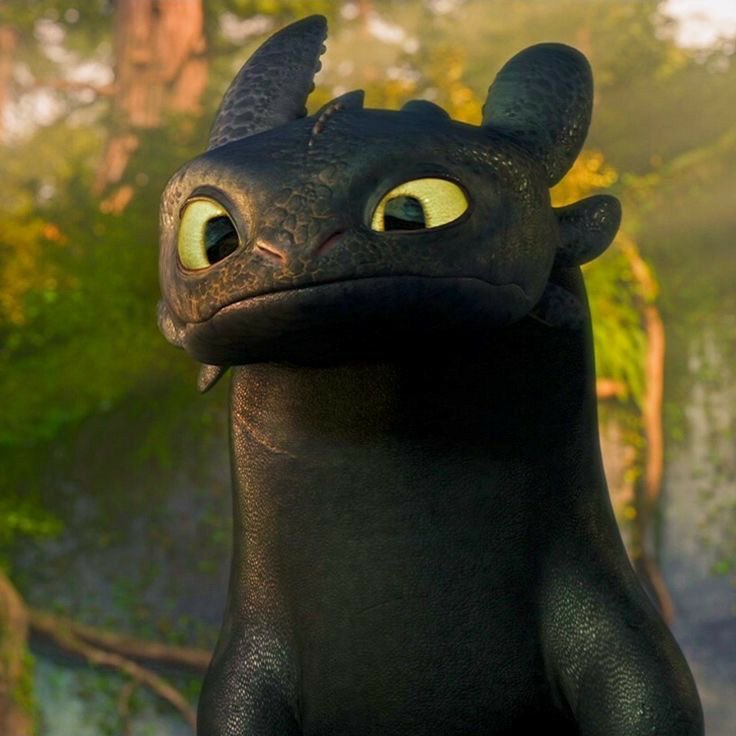 Not a Fox: Mikha Chooses Toothless the Dragon as Spirit Animal!