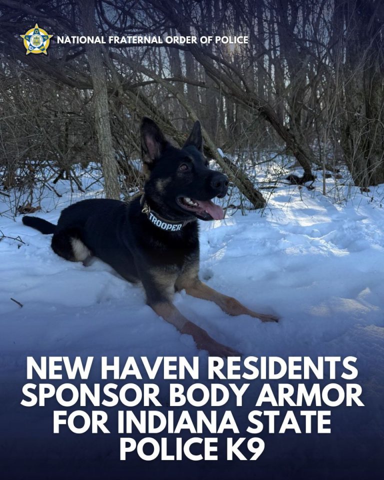 Outrage: K9 Bandit Gets Bulletproof Vest Amid Police Budget Cuts!
