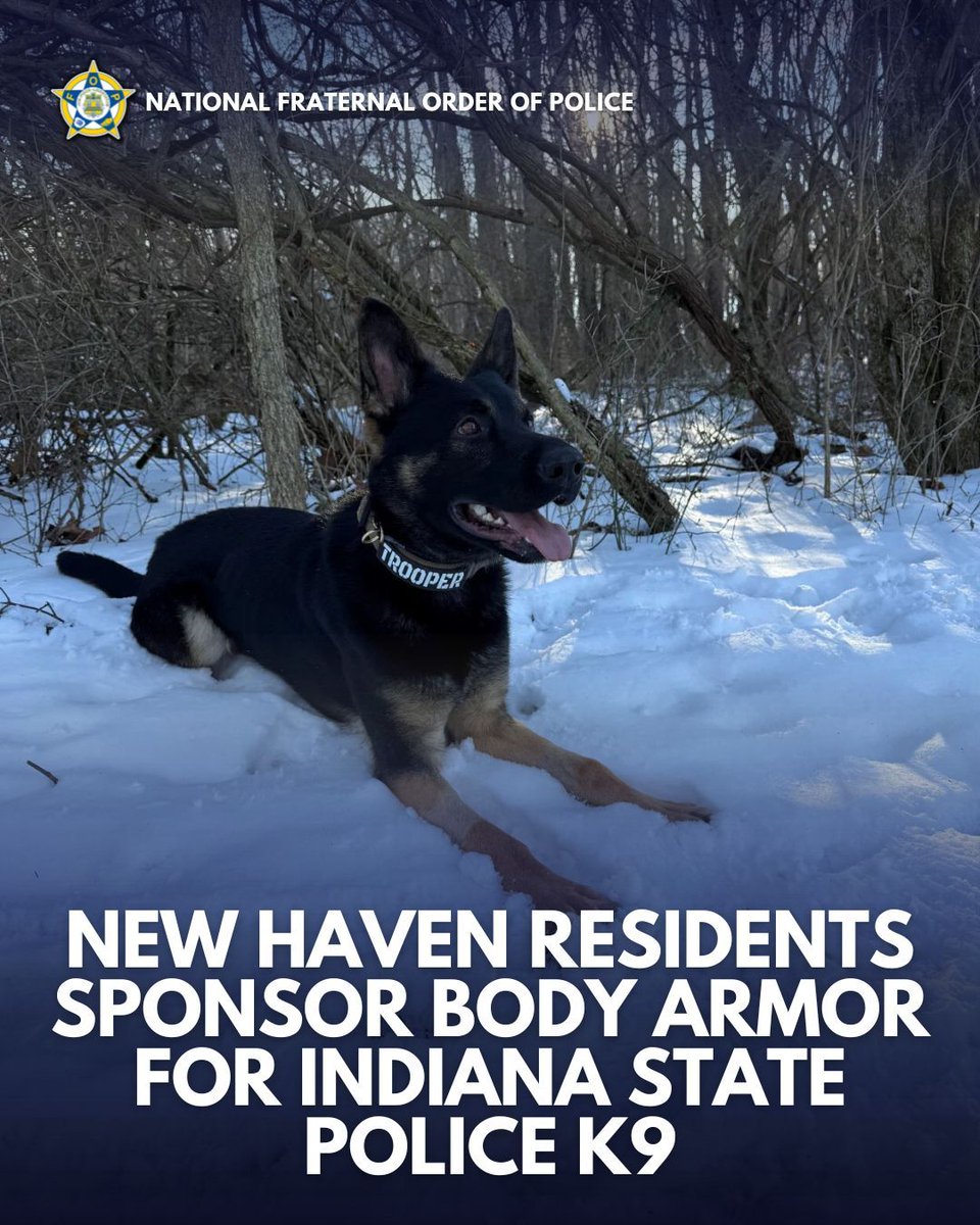 Outrage: K9 Bandit Gets Bulletproof Vest Amid Police Budget Cuts!