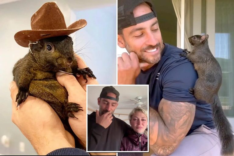 Pet Squirrel's Death Sparks Controversy: Owner Sues NY Agency!