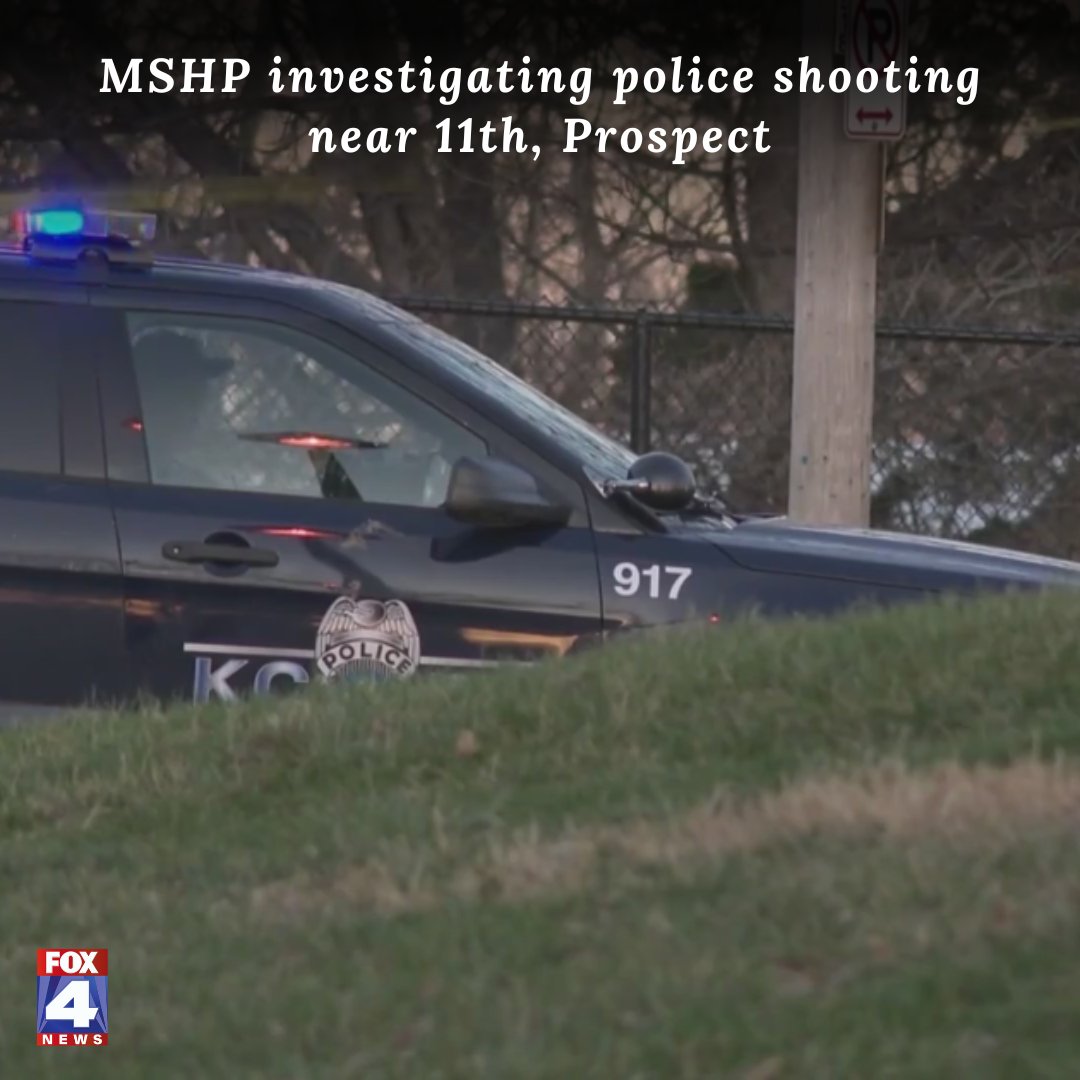 Police Find Handgun in Custody, No Shots Fired - Shocking Twist!
