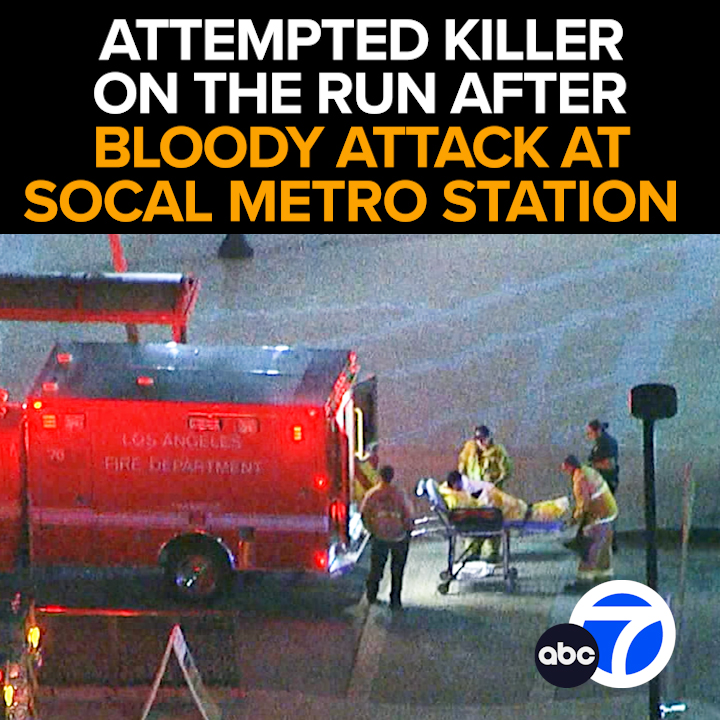 Public Outrage as LAPD Hunts Attempted Killer in Metro Stabbing!