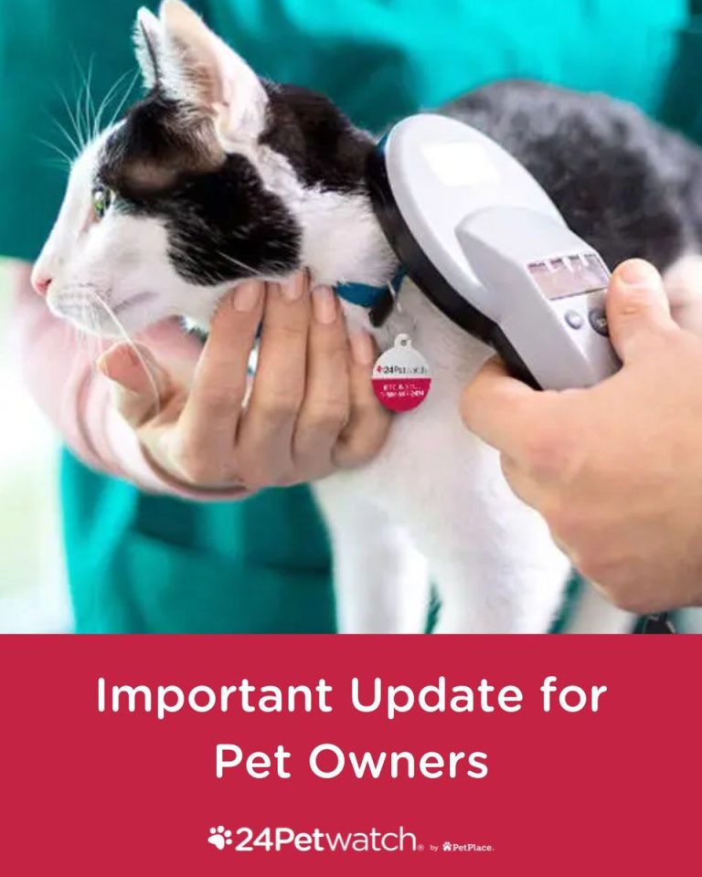 Shocking Alert: Your Pet's Microchip Could Be Useless Now!
