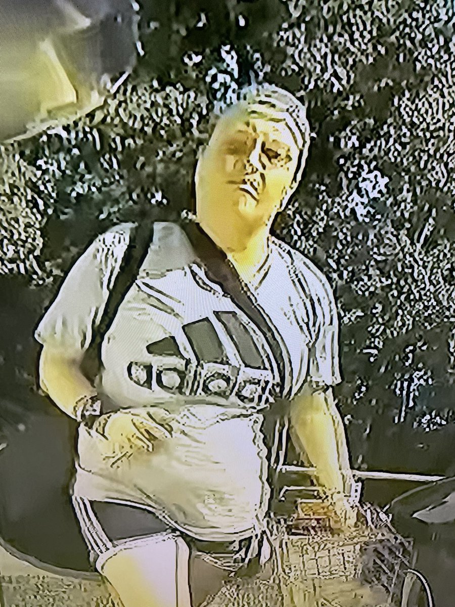 Shocking Footage: Woman Caught Keying Tesla in Charlotte Park!  
Help Identify This Suspect! Call Police: 517-543-1552