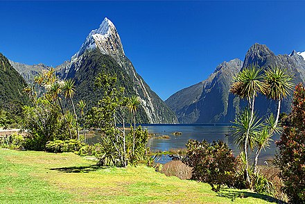 Shocking MoU: EaseMyTrip to Make New Zealand Too Affordable?