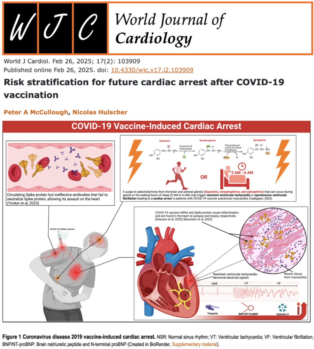 Shocking: New Study Links COVID Vaccine to Cardiac Micro-Scars!