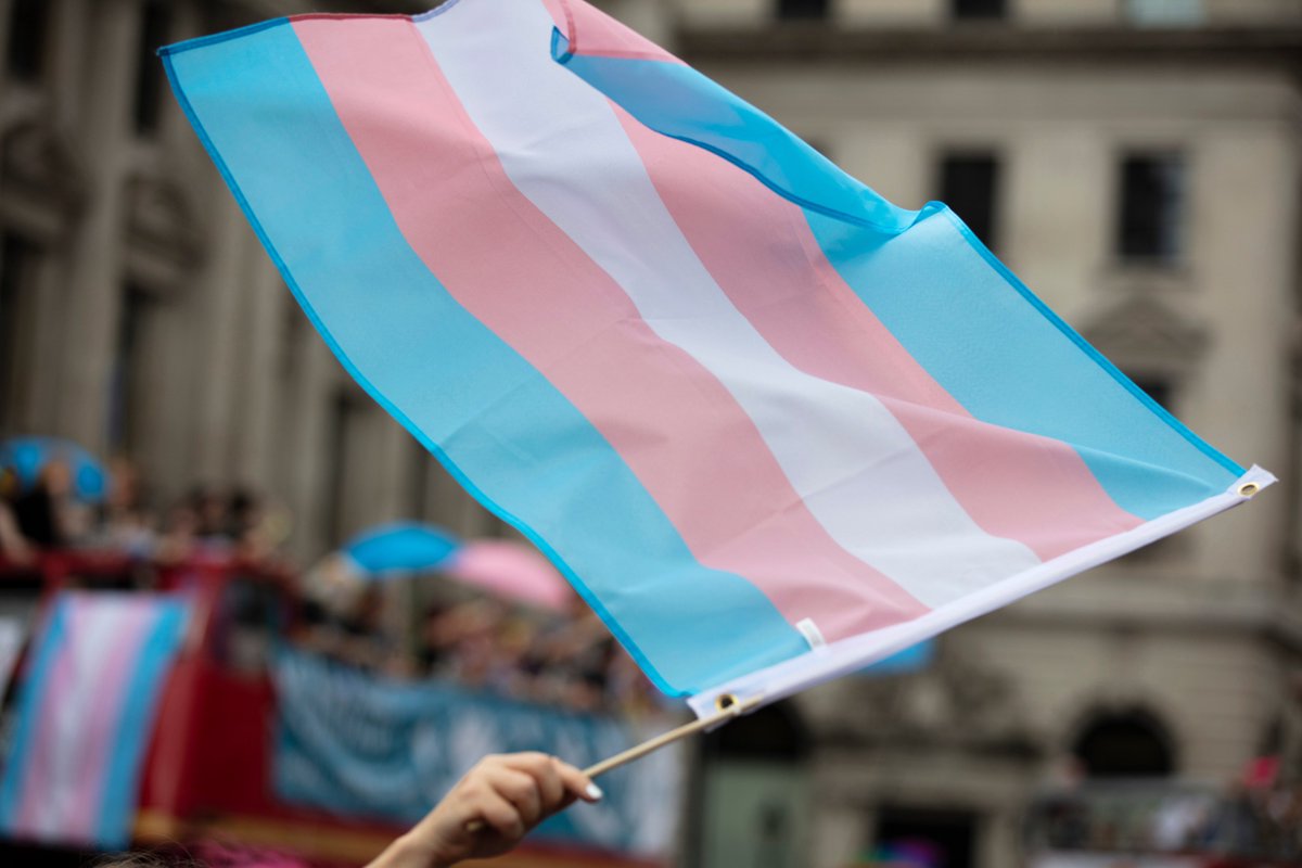 Shocking Stats: 62% of UK Trans Women Prisoners are Sex Offenders!