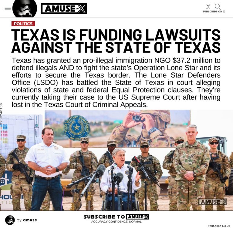 Texas Funds Pro-Illegal Immigration NGOs to Sue Itself!