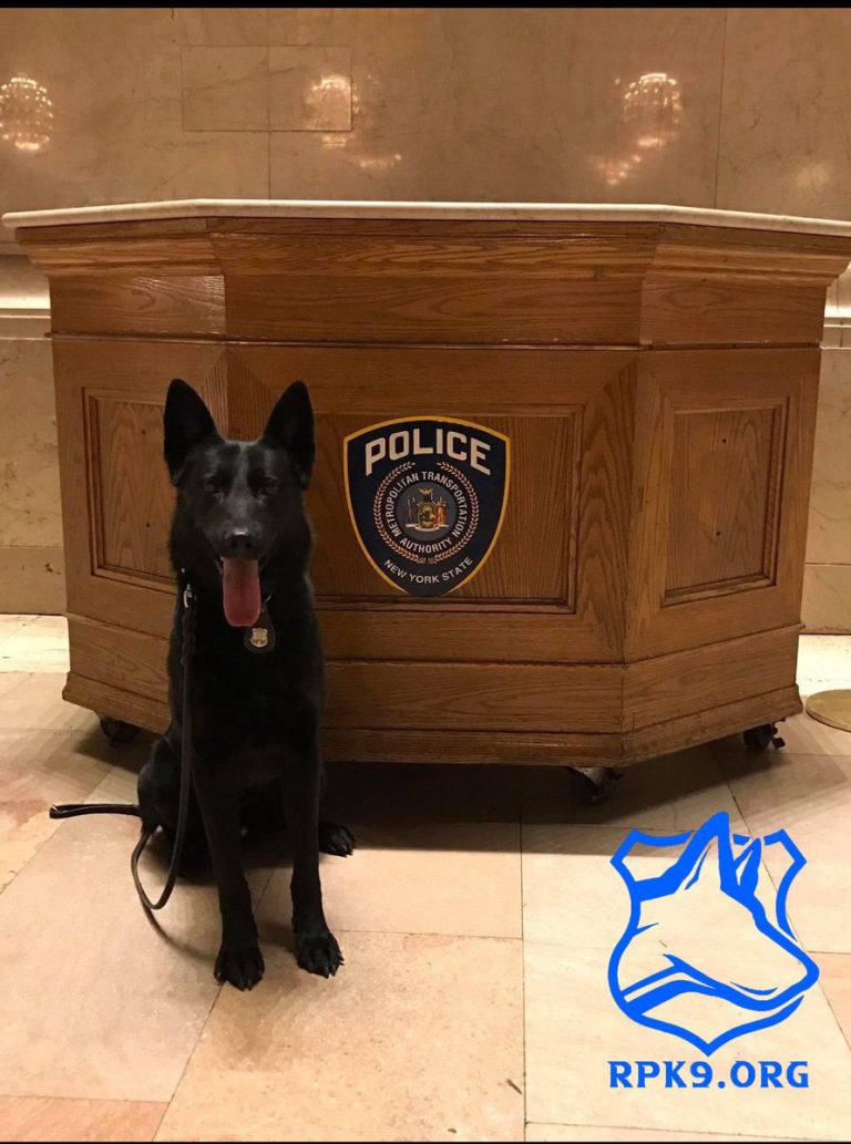 Tragic Loss: Former K9 Hero Dwyer Passes, Shocking MTA PD!