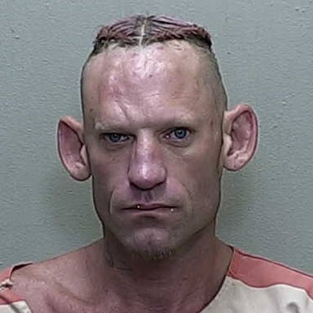 Viral Mugshot Sparks Debate: Should Driving Crimes Be Punished?