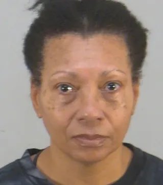 Woman Drowns Dog in Airport Bathroom After Boarding Denial
