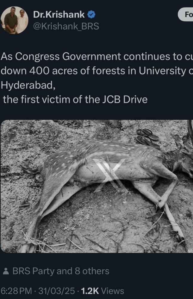 Dead Deer Hoax: Social Media Sparks Outrage Over Fake Claims!