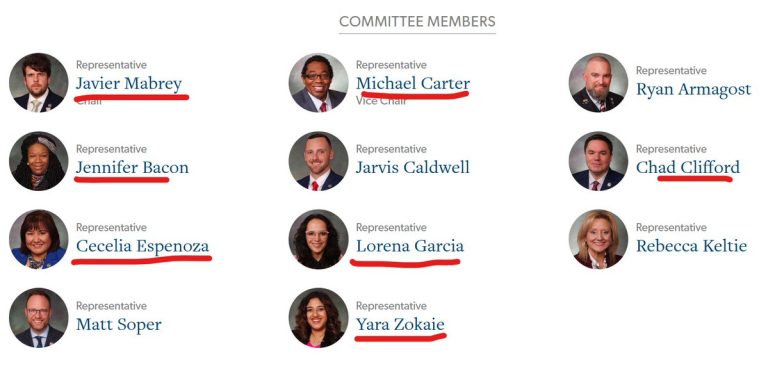 Democrats Vote to Penalize Misgendering in Custody Battles!
