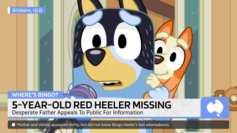 🚨 Desperate Father Pleads: Where Is His Missing Daughter Bingo?