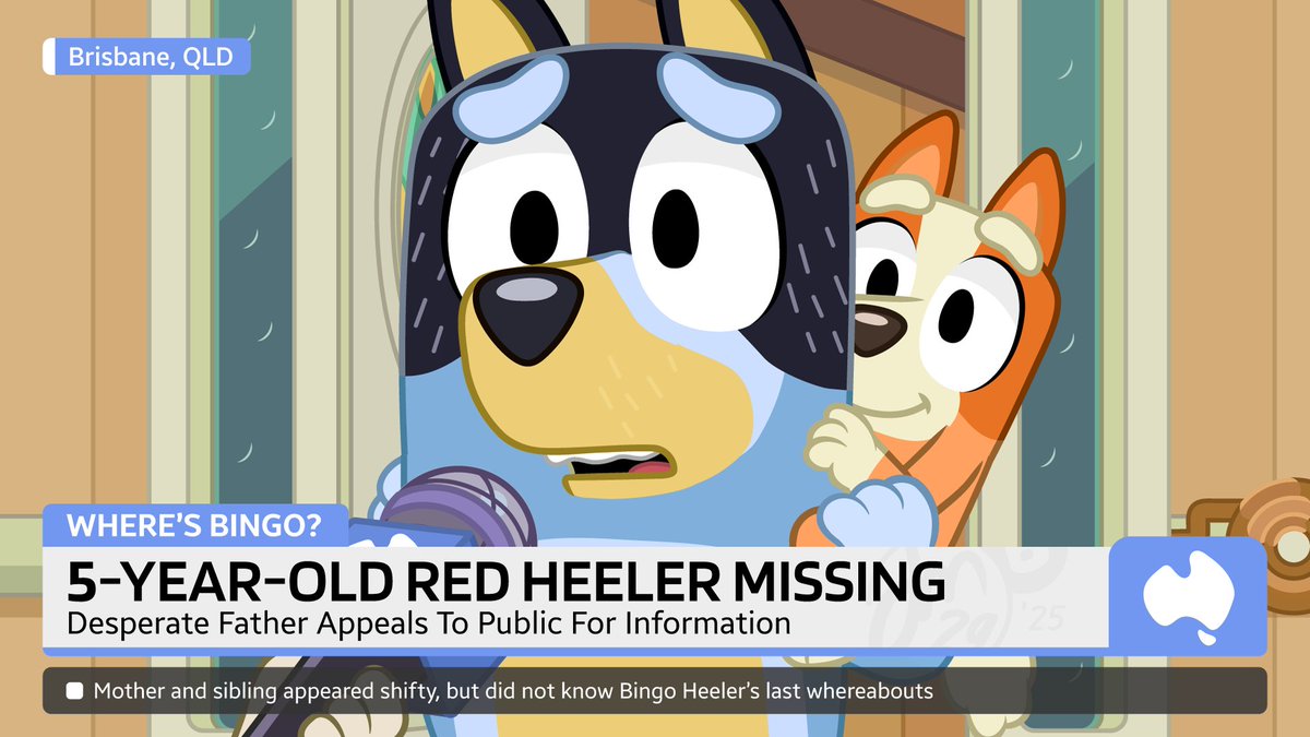 🚨 Desperate Father Pleads: Where Is His Missing Daughter Bingo?