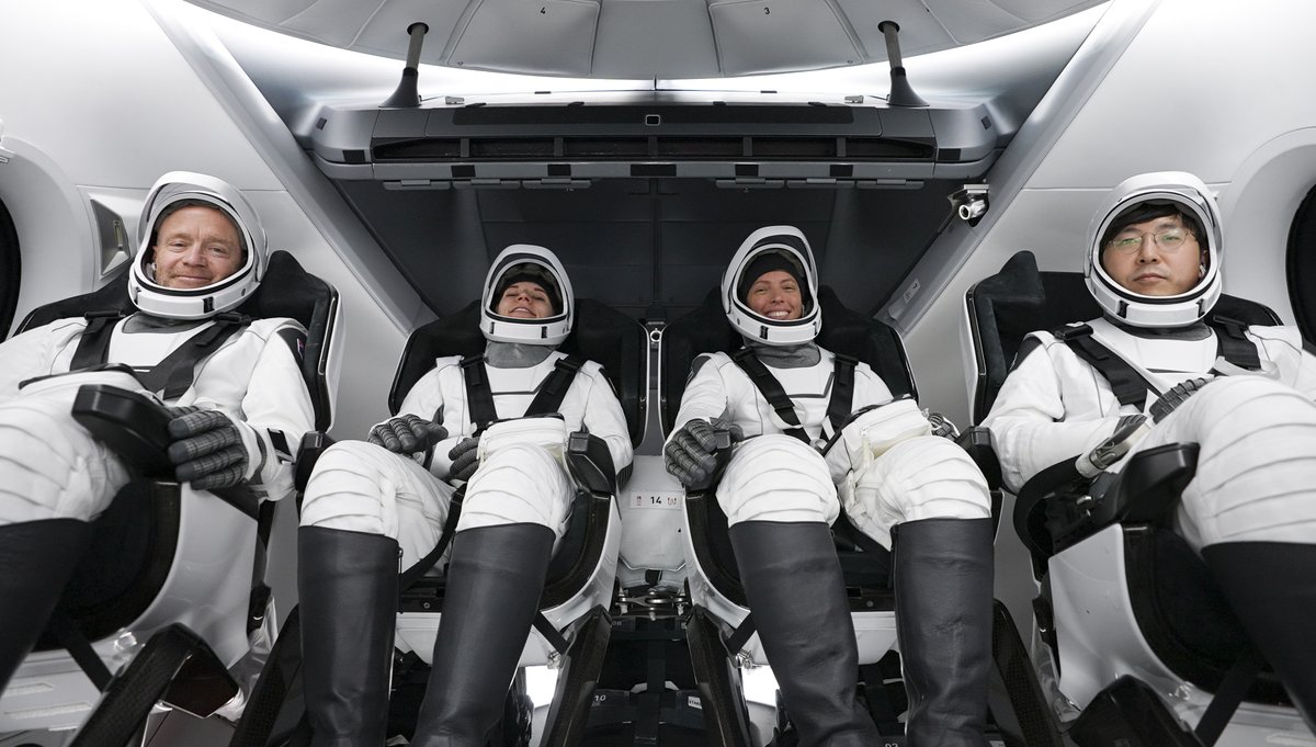 Dragon's Hatch Sealed: Framonauts Set for Controversial Launch!