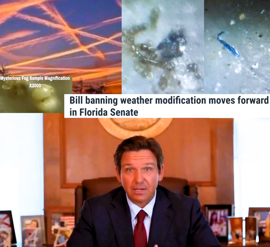 FLORIDA DECLARES WAR ON GEOENGINEERING: CHEMTRAILS BANNED!