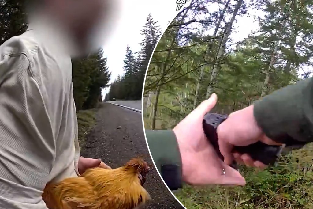 Man Arrested for Stealing Ex-Girlfriend's Chicken in Shocking Case!