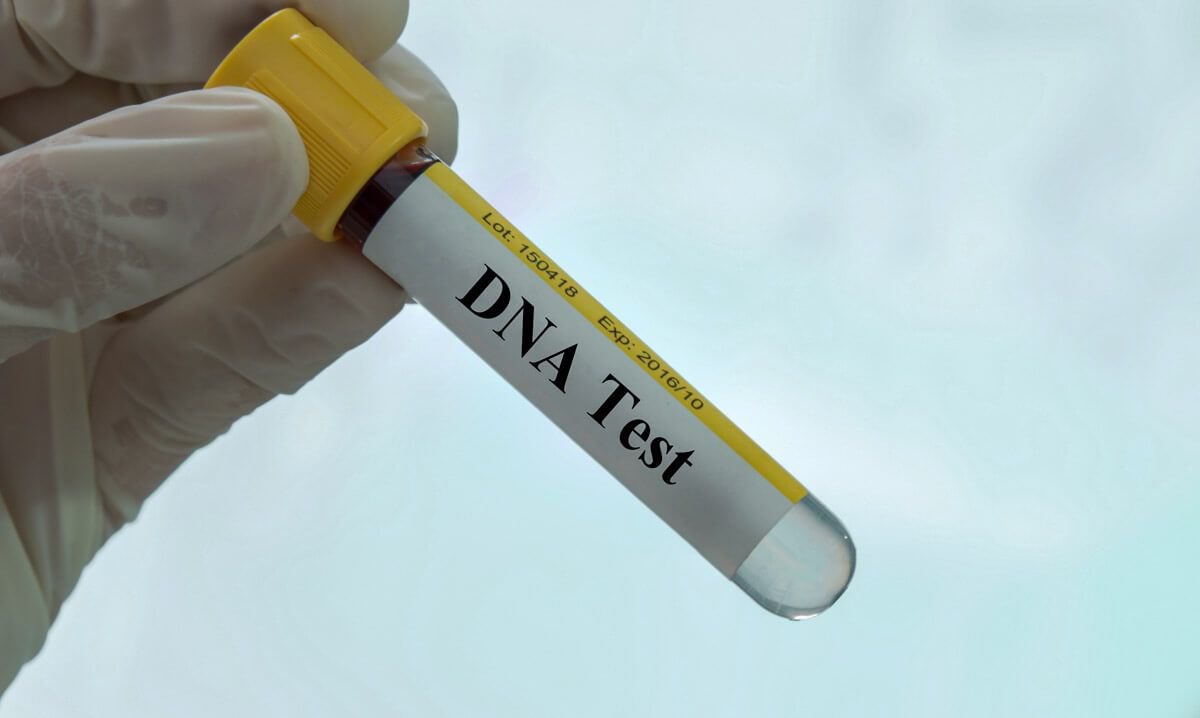 Shocking Delay: DNA Results in High-Profile Rape Case Pending!