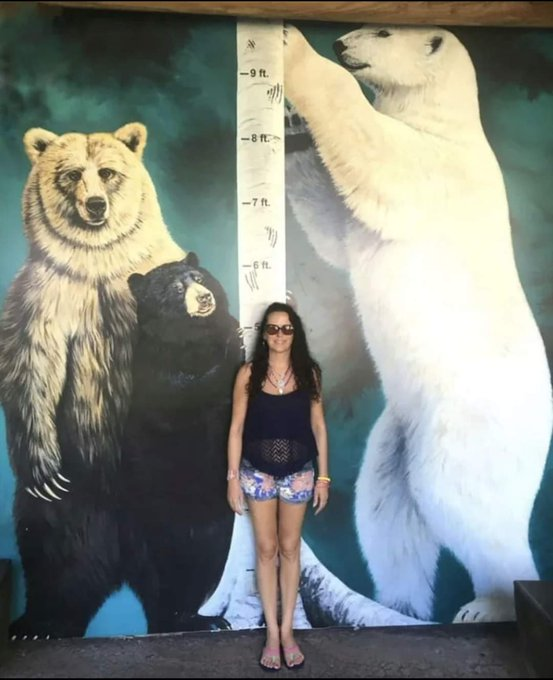 Shocking Truth: Polar Bears Tower Over Humans - Are We Safe?