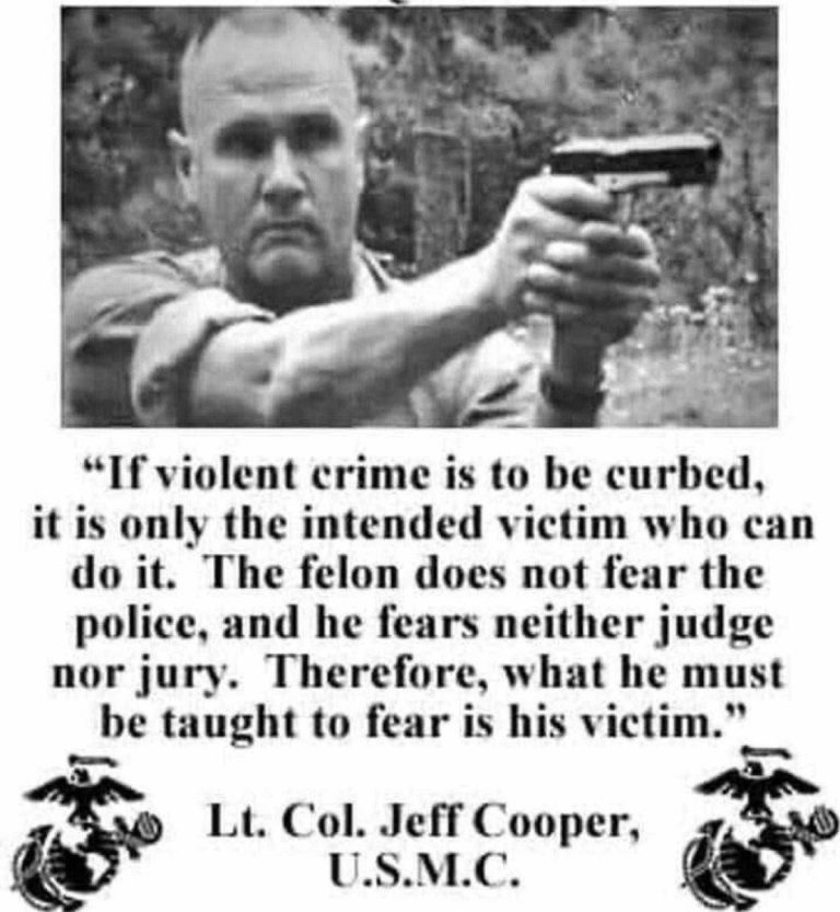 Why Criminals Laugh at Justice: Victims Must Fight Back!