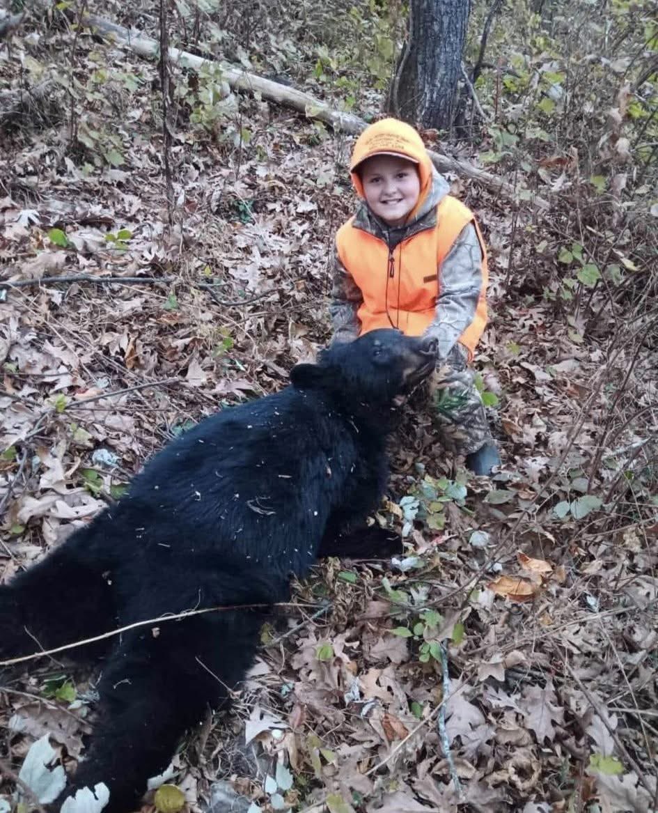 12-Year-Old Kills Bear Cub While Eating Acorns—Outrage Ensues!