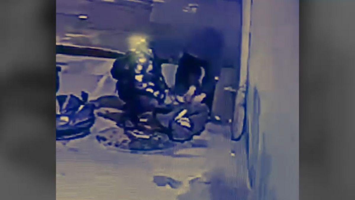 Virginia Suspect Arrested in Shocking Bronx Attack on NYPD Officer