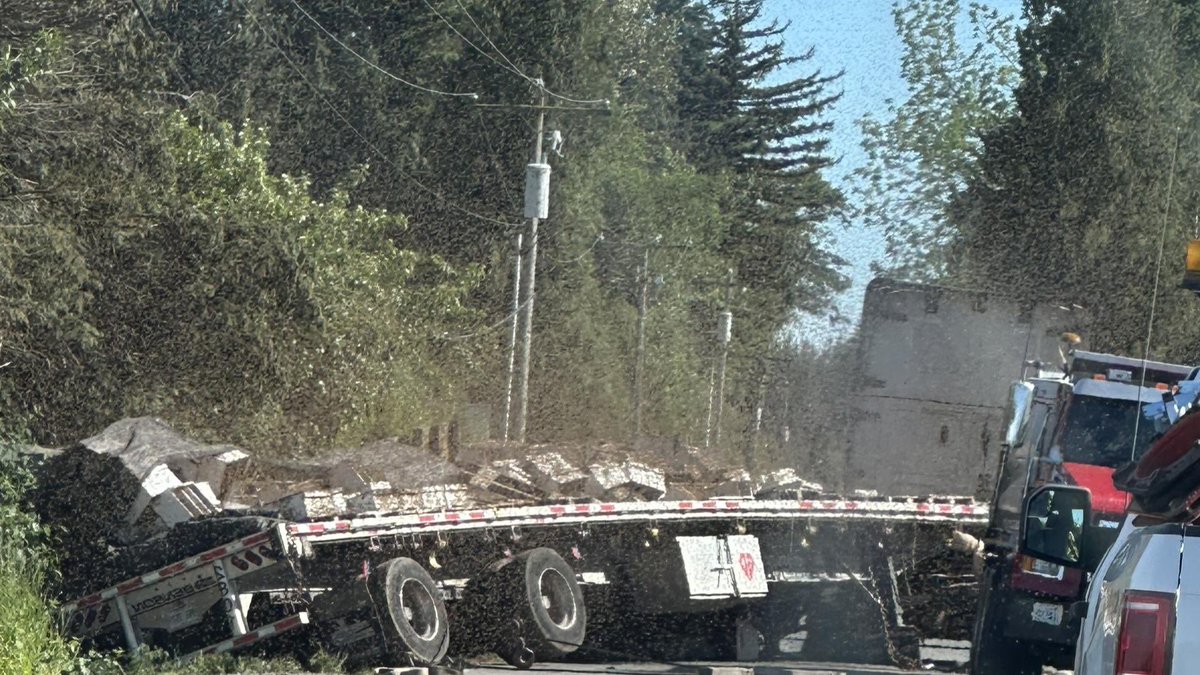 250 Million Bees Escape After Truck Crash: Nature's Revenge?