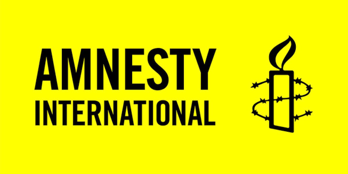 Amnesty Nigeria's Shocking Report Ignites Fury from Government