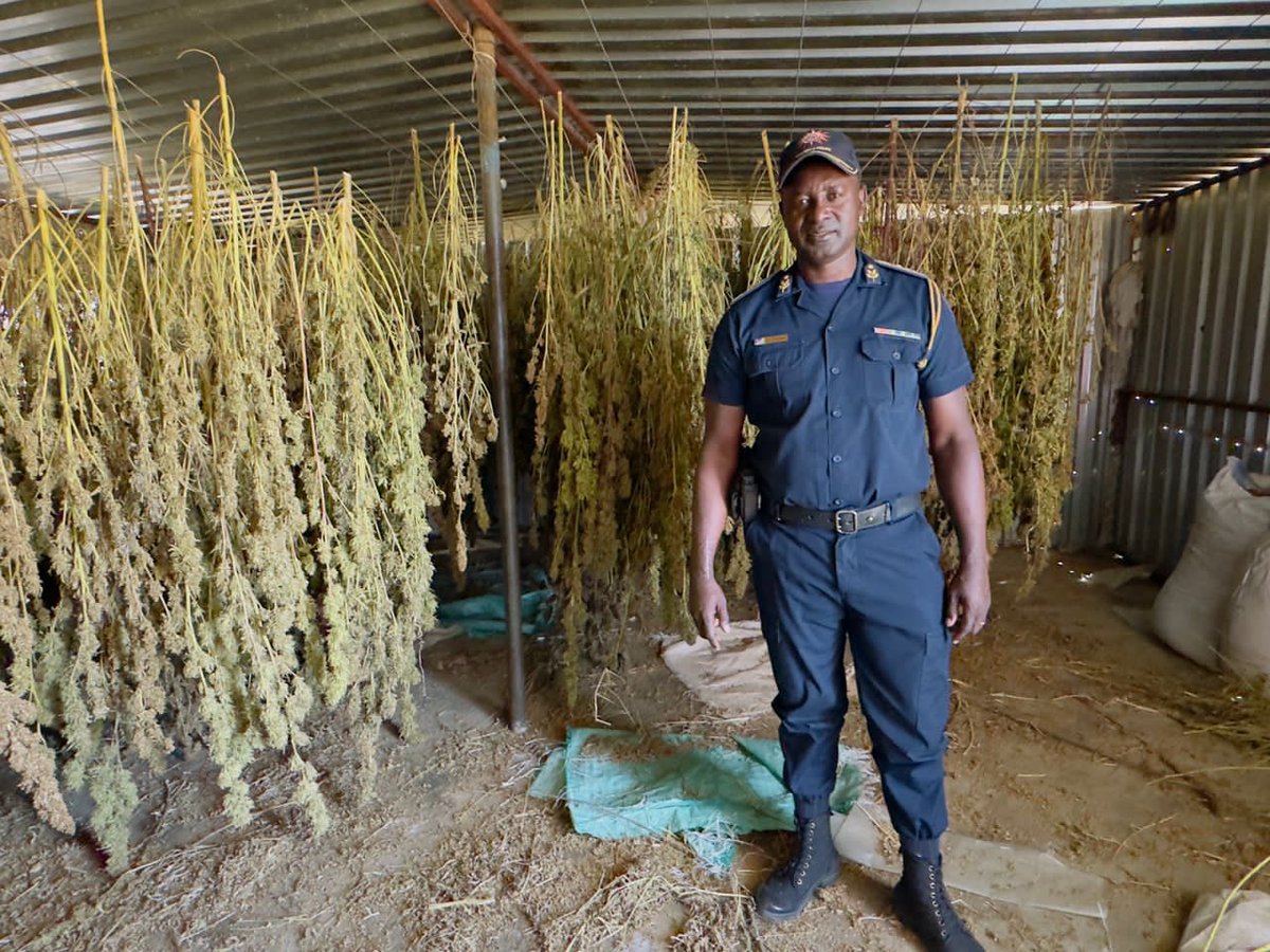 Farm Owner Arrested for Massive Illegal Dagga Operation!