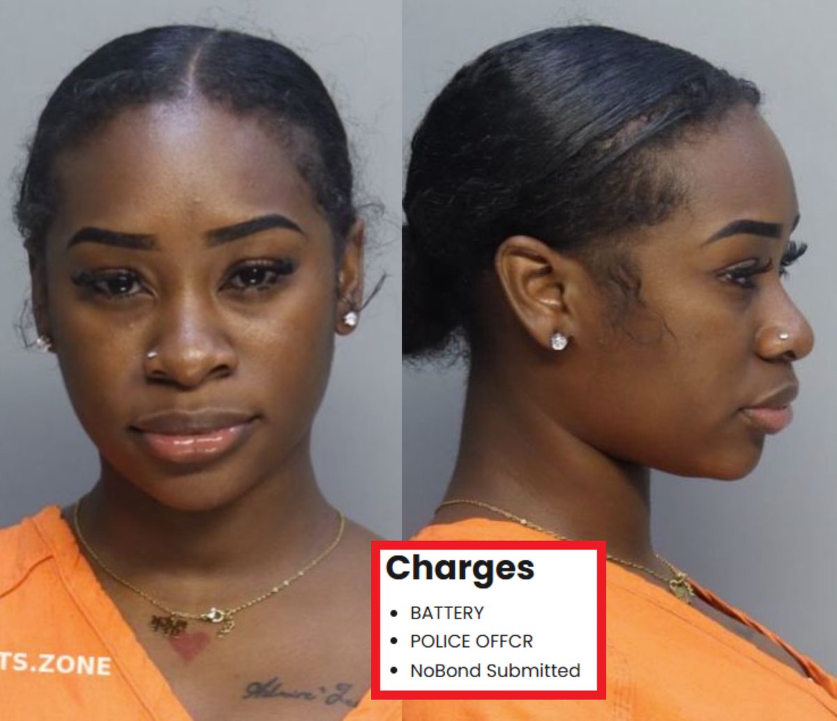 Florida Woman's Mugshot Goes Viral After Shocking Police Assault!
