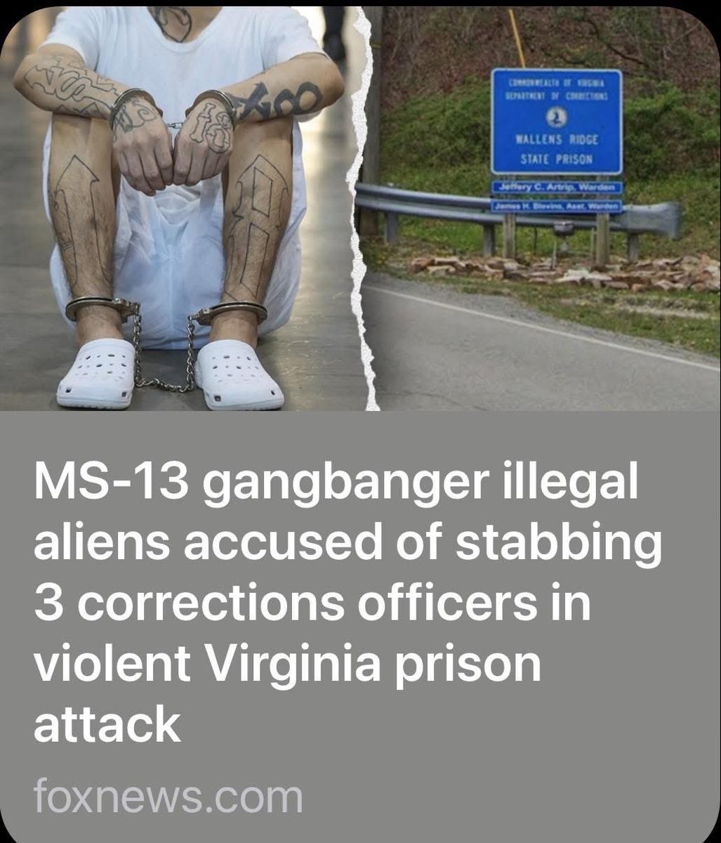 Foreign Gangs in Virginia: Are We Ignoring a Crisis?  
Illegal Immigration Debate: Who's Still Defending Open Borders?  
Police Demeaned: Are We Endangering Our Law Enforcement?