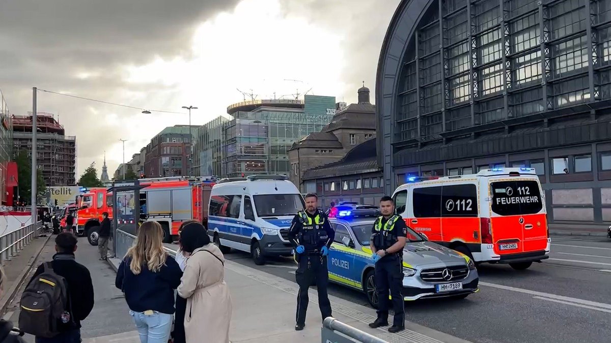 Horror in Hamburg: 12 Stabbed at Train Station, Suspect Arrested!