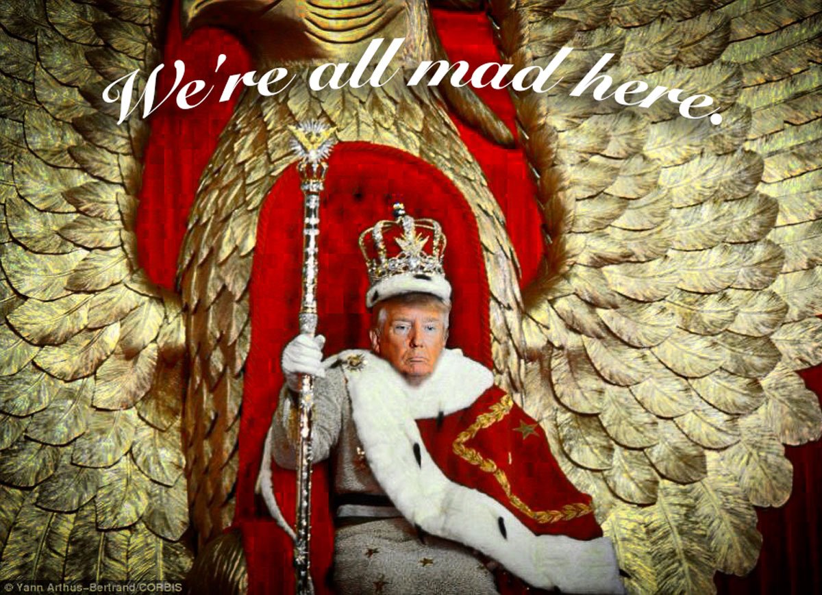 Launch Pimp Plane into Space: A Viking Funeral for Donny?
