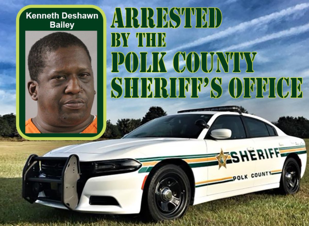 Local Man Arrested: Serial Thief Strikes Again in Polk County!